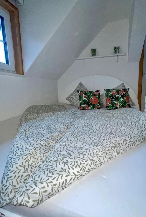 Almsternderl 2.0 - Gemuetliches Appartment In Gosau Esterno foto